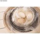 Blumendraht, 0,65mm ø, Holzwickel, geglüht,  100g, geglüht