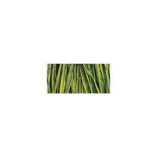 Naturbast, Bündel 25 g, maigrün