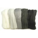 Merino-Kammzug, superfein, 19 mic, 5x10g sortiert,  50g,...