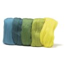 Merino-Kammzug, superfein, 19 mic, 5x10g sortiert,  50g,...