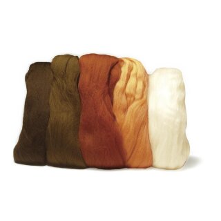 Merino-Kammzug, superfein, 19 mic, 5x10g sortiert,  50g, Braun-Töne