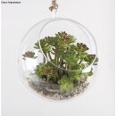 Plastik-Kugel, 2tlg., 12cm ø, mit Ausschnitt ø7,5cm, kristall