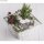 Mini-Gardening Set- Dreams, 9-teilig, weiß, Karton