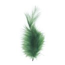Flauschfeder, 10-15 cm, . 15 Stück, d.grün