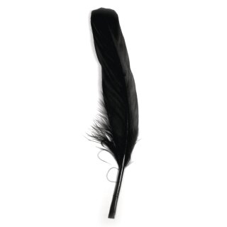 Gänsefeder, 16-20 cm,  8Stück, schwarz