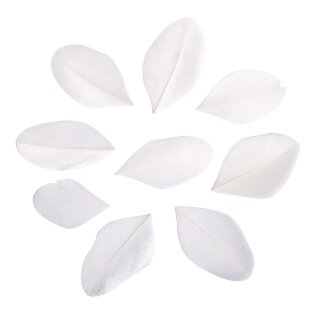 Federn geschnitten, 5-6cm,  36Stück, weiß