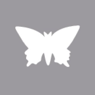 Motivstanzer: Schmetterling, 2,54cm ø, (1), SB-Blister 1 Stück