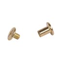 Spezial-Befestigungsschraube, 1,1cm,  8Stück, gold