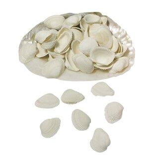 Clovis-Muscheln, in Perlmuttschale
