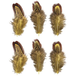 Federn, 5-10cm,  6Stück, gelb/braun
