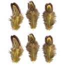 Federn, 5-10cm,  6Stück, gelb/braun