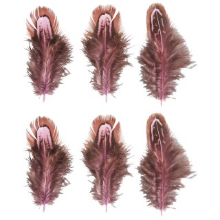 Federn, 5-10cm,  6Stück, pink/braun