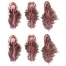 Federn, 5-10cm,  6Stück, pink/braun