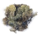 Islandmoos, Beutel 1 kg, natur