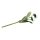 Maßliebchen Pick, 23cm, 2 Blüten, weiß