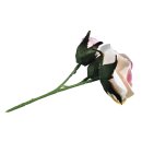 Rosen Pick, 15cm, 3 Blüten, rosé