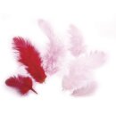 Federmischung, 3-10 cm, . 10 g, Rot-Töne