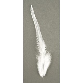 Trendyfeder, 10-15 cm, . 2 g, weiß