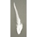 Trendyfeder, 10-15 cm, . 2 g, weiß