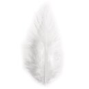 Trendyfeder, 10-15 cm, . 2 g, weiß