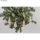 Bastelpackung: Holz Baum-Anhänger, FSCMixCredit, 4,7x4,7x22,5cm, Box 4Stück, natur