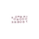 Holzperlen FSC 100%, poliert, 6mm ø, SB-Btl 115 Stück, rosé