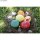 Eierfarben Set mit 5 Farben, Lebensmittel-Farbstoffe, bunt