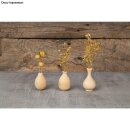 Holz Deko Vase, mini, 4,8-6,4cm, sortiert, PVC-Box 3Stück, natur