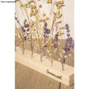 Holz Steckleiste m. 11 Löchern, FSC 100%, 22,5x4x2,4cm, für Trockenblumen
