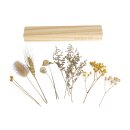 Bastelpackung Trockenblumen Holzleiste, FSC 100%,...