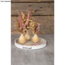 Trockenblumen Mix, Box, zartrosa