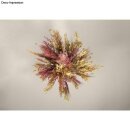 Trockenblumen Mix, Box, zartrosa