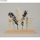 Trockenblumenstrauß, 18-20cm 1 Stück, schwarz
