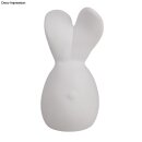 Silikon Gießform Häschen, ø 4,2cm, Höhe 9,4cm, Box 1Stück