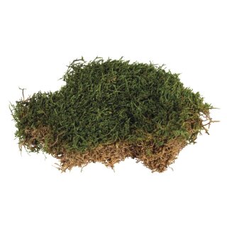 Moos gereinig. 30g