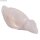 2kg Speckstein 2-8cm Teile 2x1kg Beutel  bunt