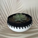 Silikon Gießform Schale 18cm mit Lochrand + Braidy...