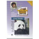 Bob Ross - DVD Workshop Panda