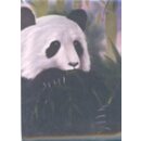 Bob Ross Wildtierprojekt - Panda